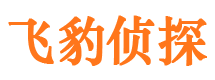 马鞍山外遇出轨调查取证